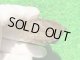 ハイポクサガメP.Het.アルビ９　ＳＡＬＥ１