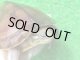 タイリクミナミイシガメ15（チュウゴクＦ）ＳＡＬＥ！ＳＡＬＥ！更に1,000円OFF