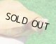 タイリクミナミイシガメT-アルビノ３　ＳＡＬＥ！