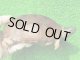 パイドクサガメ７　ＳＡＬＥ！