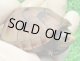 ミスジドロガメ25　ＳＡＬＥ！