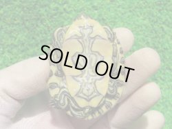 画像10: ニカラグァクジャクガメ６