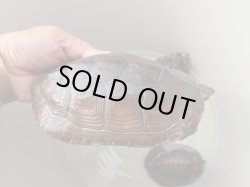 画像11: ウンキュウトリオ