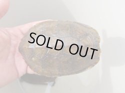 画像2: ウンキュウトリオ