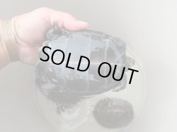 画像9: ウンキュウトリオ