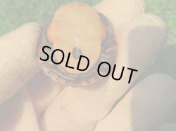 画像6: セスジニシキガメ６