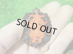 画像3: ３種セット