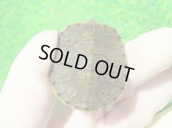 画像7: ３種セット