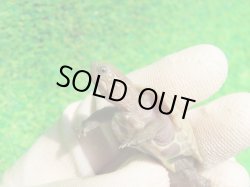 画像4: T+アルビノクサガメ93