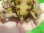 画像7: クレフトマゲクビガメ８ (7)