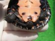画像7: カントンクサガメ28　