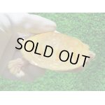 画像: フロリダアカハラガメ・Ｔ-アルビノ　ＳＡＬＥ！