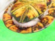 画像8: ミナミシロクチドロガメ5