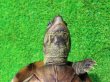 画像9: キャリコクサガメ８　ＳＡＬＥ！