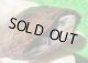 画像: ミスジドロガメ21　ＳＡＬＥ！7,000円OFF