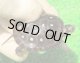 画像: キボシイシガメ43　ＳＡＬＥ！