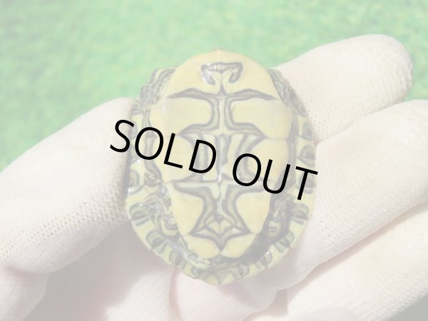 画像9: ３種セット